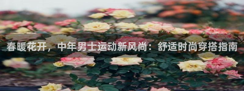 qy千亿体育登录入口