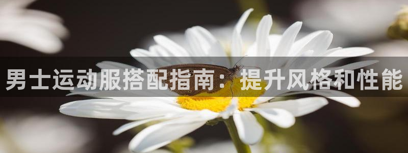 千亿体育登录入口官网